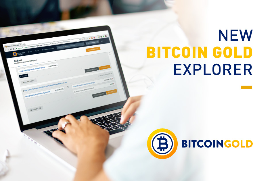 The Bitcoin Gold Insight Explorer